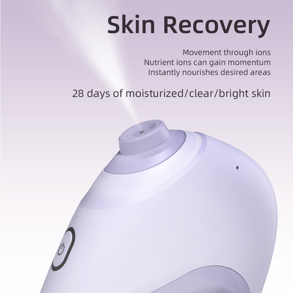 Nano Facial Sprayer Water Stea - Hair Care Spray recensie en prijs