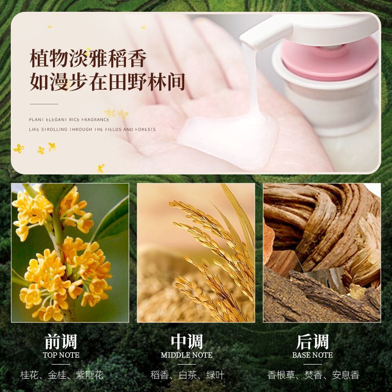 Changfa Xiaozhai Rice Water Sh - Hair Care With Rice Water recensie en prijs