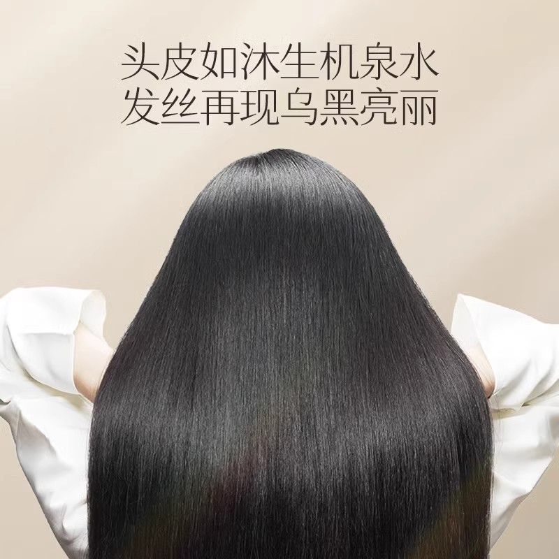 Changfa Xiaozhai Rice Water Sh - Hair Care With Rice Water recensie en prijs